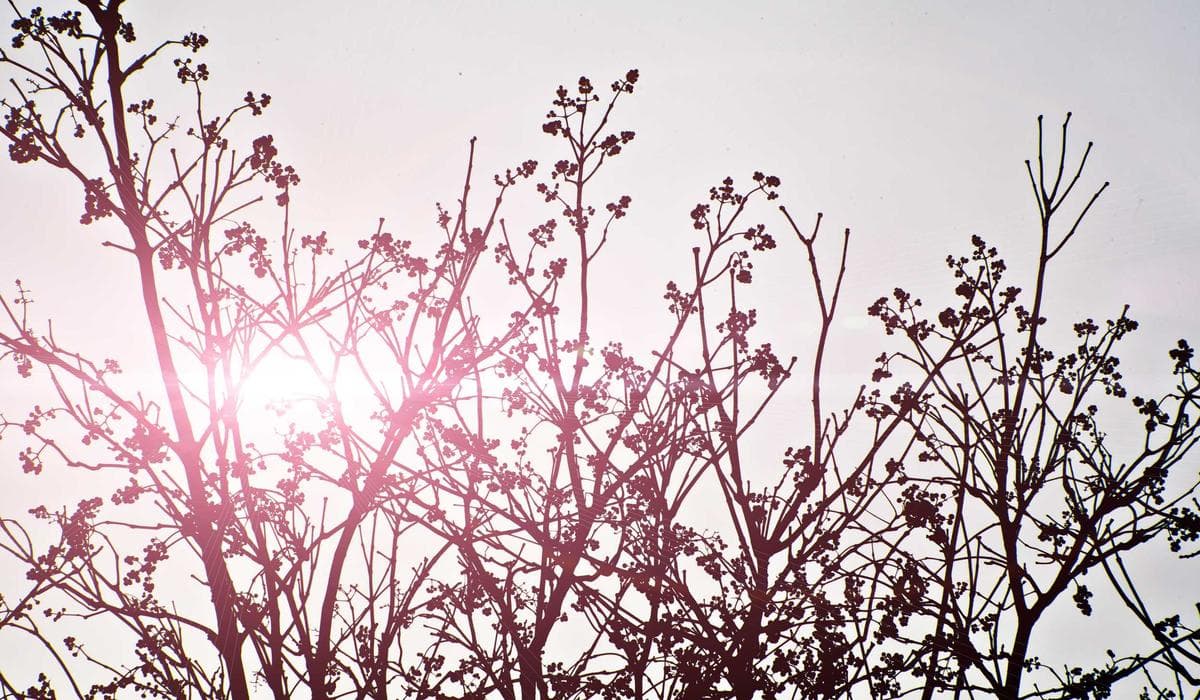 Как подготовить онлайн-бизнес к международным продажам